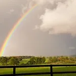Maison De Charme En Campagne, 5 Min Du Haras Du Pin