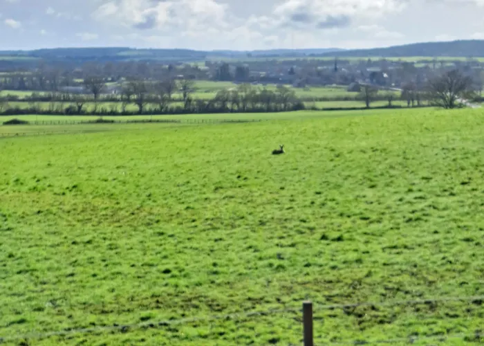 Maison De Charme En Campagne, 5 Min Du Haras Du Pin Prázdninový dům