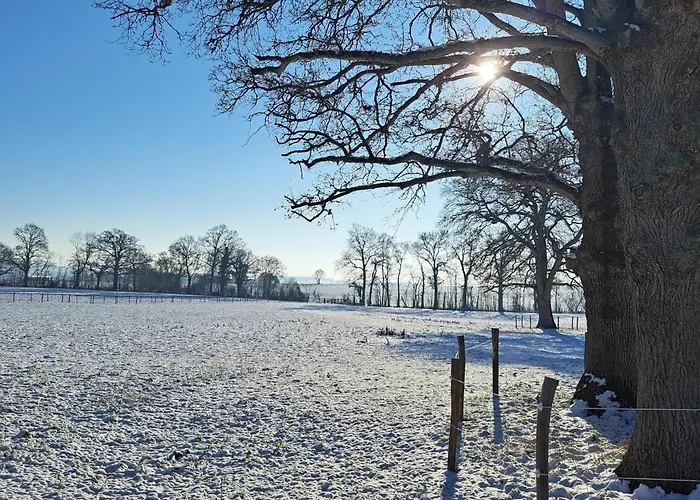Maison De Charme En Campagne, 5 Min Du Haras Du Pin * Nonant-le-Pin