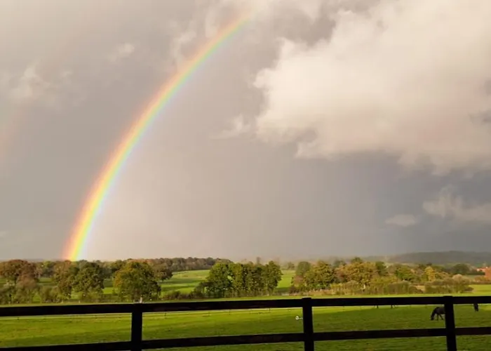 Maison De Charme En Campagne, 5 Min Du Haras Du Pin